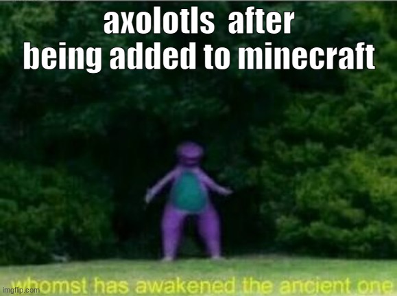 hello | axolotls  after being added to minecraft | image tagged in minecraft,axolotl | made w/ Imgflip meme maker