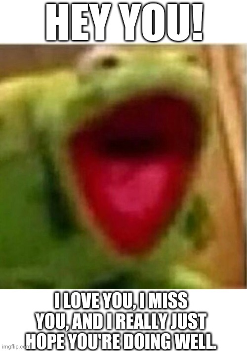 Kermit check-in | HEY YOU! I LOVE YOU, I MISS YOU, AND I REALLY JUST HOPE YOU'RE DOING WELL. | image tagged in blank white template,ahhhhhhhhhhhhh,encouragement,wholesome | made w/ Imgflip meme maker