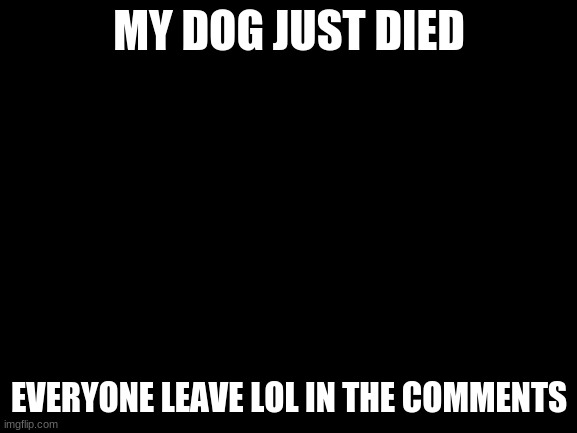 SIKE a test to see if yall read descriptions | MY DOG JUST DIED; EVERYONE LEAVE LOL IN THE COMMENTS | image tagged in blank white template,test,sike | made w/ Imgflip meme maker