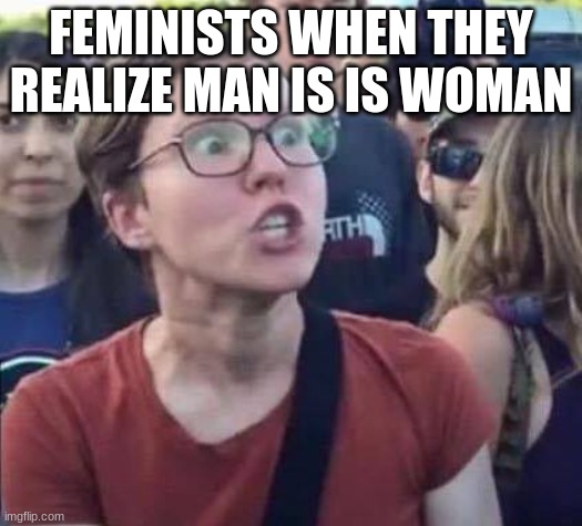 AnGRY | FEMINISTS, WHEN THEY REALIZE MAN IS, IS WOMAN | image tagged in angry liberal | made w/ Imgflip meme maker