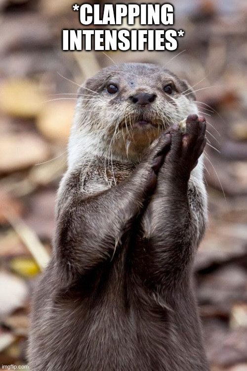 Slow-Clap Otter | *CLAPPING INTENSIFIES* | image tagged in slow-clap otter | made w/ Imgflip meme maker