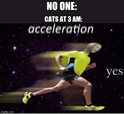 Acceleration yes | NO ONE:; CATS AT 3 AM: | image tagged in acceleration yes | made w/ Imgflip meme maker