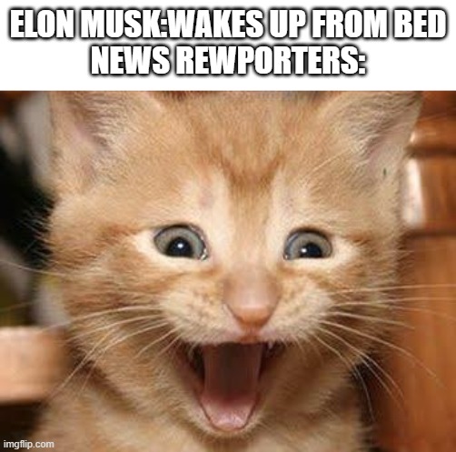 Excited Cat | ELON MUSK:WAKES UP FROM BED
NEWS REWPORTERS: | image tagged in memes,excited cat | made w/ Imgflip meme maker