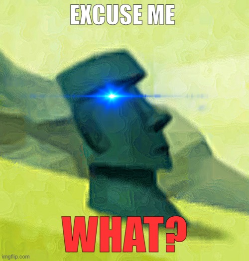 ? | EXCUSE ME; WHAT? | image tagged in memes | made w/ Imgflip meme maker