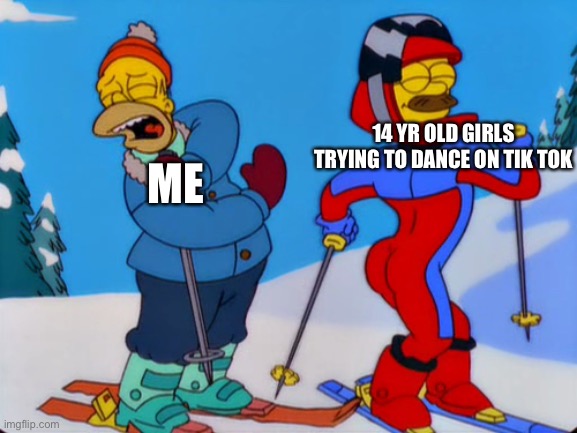 Epic Cringe | ME; 14 YR OLD GIRLS TRYING TO DANCE ON TIK TOK | image tagged in ned flanders ski,tik tok sucks | made w/ Imgflip meme maker