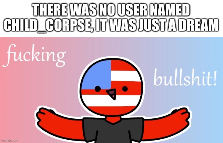for the guys coming back | THERE WAS NO USER NAMED CHILD_CORPSE, IT WAS JUST A DREAM | image tagged in countryhumans bs | made w/ Imgflip meme maker