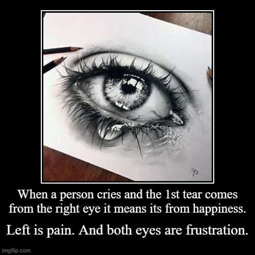 When a person cries and the 1st tear comes from the right eye it means its from happiness. | Left is pain. And both eyes are frustration. | image tagged in funny,demotivationals | made w/ Imgflip demotivational maker