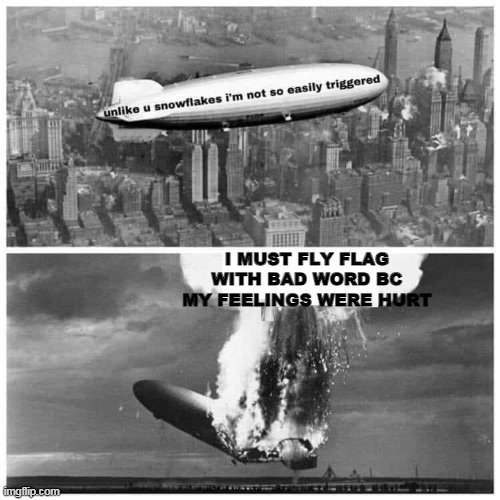 I fly bad word flag because Brandon. | I MUST FLY FLAG WITH BAD WORD BC MY FEELINGS WERE HURT | image tagged in hindenburg triggered snowflakes blank | made w/ Imgflip meme maker