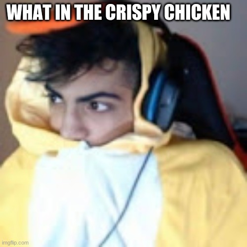WHAT IN THE CRISPY CHICKEN | made w/ Imgflip meme maker
