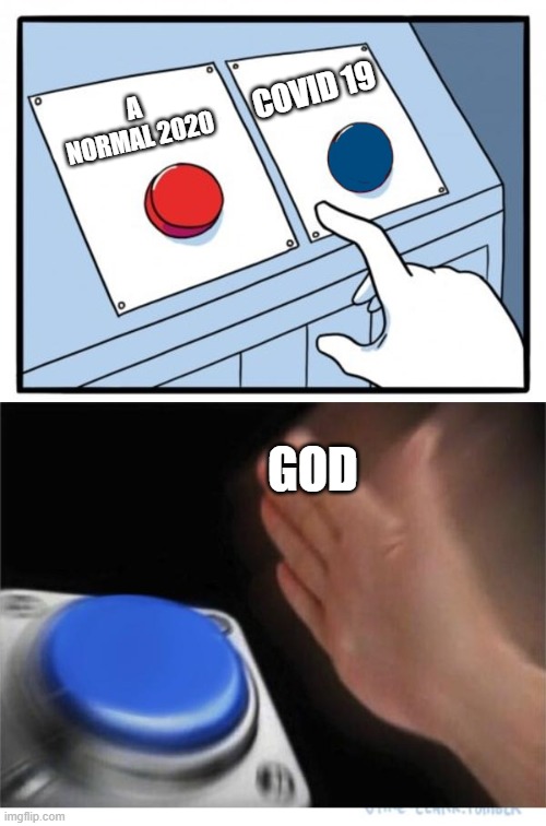 why god | COVID 19; A NORMAL 2020; GOD | image tagged in two buttons 1 blue | made w/ Imgflip meme maker
