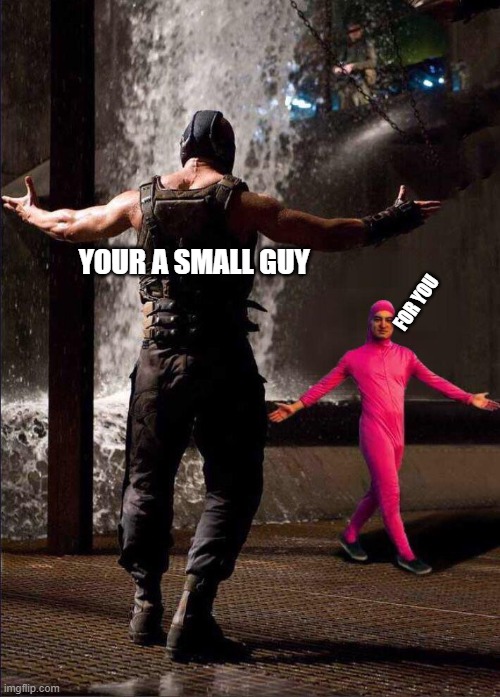 Pink Guy vs Bane | YOUR A SMALL GUY; FOR YOU | image tagged in pink guy vs bane | made w/ Imgflip meme maker