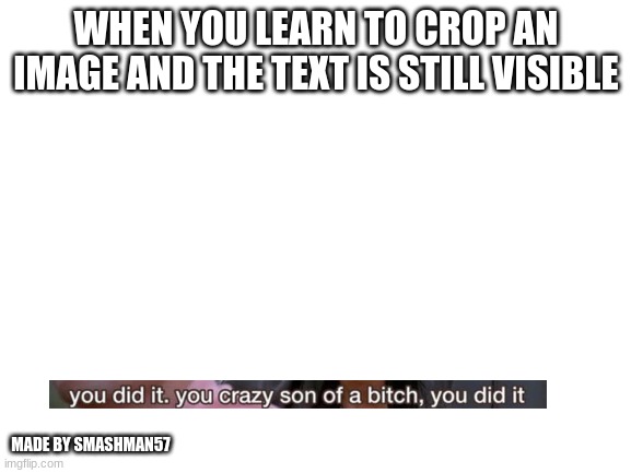 Meme | WHEN YOU LEARN TO CROP AN IMAGE AND THE TEXT IS STILL VISIBLE; MADE BY SMASHMAN57 | image tagged in blank white template,you crazy son of a bitch you did it | made w/ Imgflip meme maker