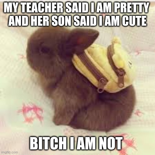 MY TEACHER SAID I AM PRETTY 
AND HER SON SAID I AM CUTE; BITCH I AM NOT | made w/ Imgflip meme maker