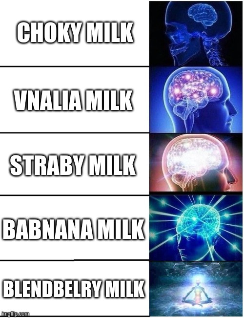 i dare one of you to create the new milks | CHOKY MILK; VNALIA MILK; STRABY MILK; BABNANA MILK; BLENDBELRY MILK | image tagged in expanding brain 5 panel | made w/ Imgflip meme maker