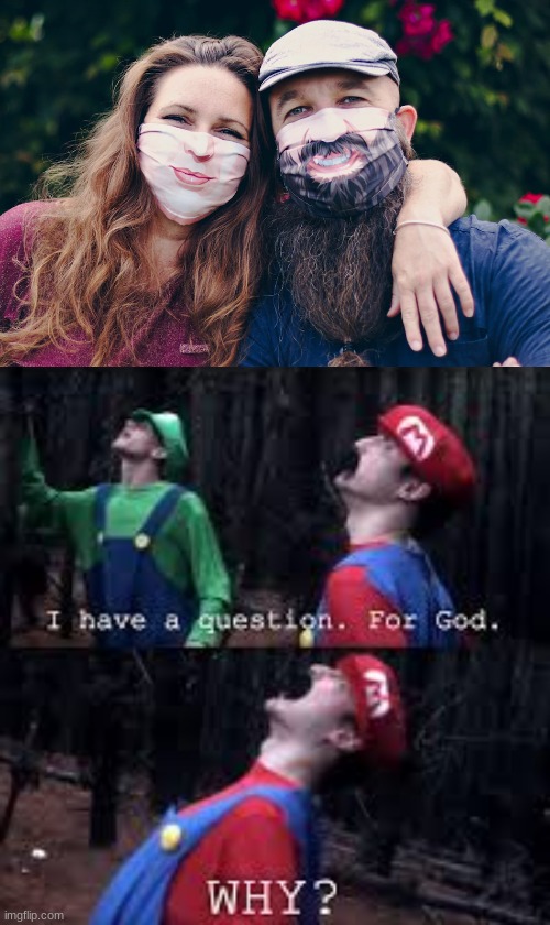 image tagged in mario why god | made w/ Imgflip meme maker