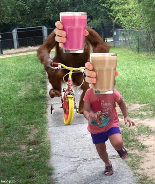 reinforcements arrive! | image tagged in orangutan chasing girl on a tricycle,choccy milk,straby milk,choccy-straby war | made w/ Imgflip meme maker