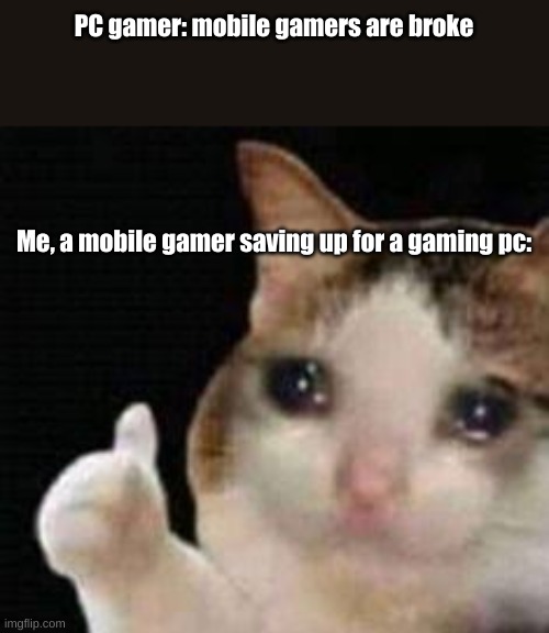 :( I want a gaming PC so bad ): | PC gamer: mobile gamers are broke
 
 
 
  
 
 

Me, a mobile gamer saving up for a gaming pc: | image tagged in approved crying cat,gaming pc,pc gamers,mobile gamers | made w/ Imgflip meme maker