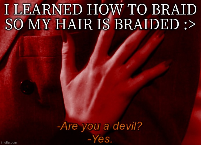 I LEARNED HOW TO BRAID SO MY HAIR IS BRAIDED :> | made w/ Imgflip meme maker