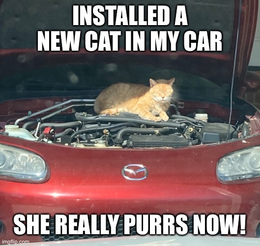 Purring Miata | INSTALLED A NEW CAT IN MY CAR; SHE REALLY PURRS NOW! | image tagged in cars,cats | made w/ Imgflip meme maker