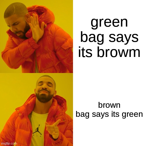 Drake Hotline Bling | green bag says its browm; brown bag says its green | image tagged in memes,drake hotline bling | made w/ Imgflip meme maker