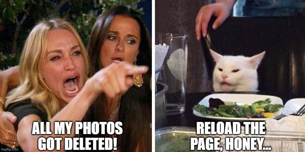 Smudge the cat | ALL MY PHOTOS GOT DELETED! RELOAD THE PAGE, HONEY... | image tagged in smudge the cat | made w/ Imgflip meme maker