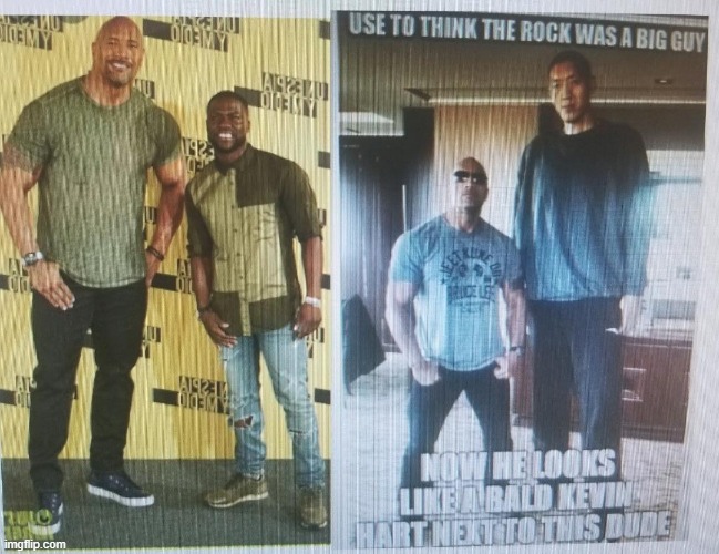 The Rock | image tagged in dwayne johnson,kevin hart,giants,short | made w/ Imgflip meme maker