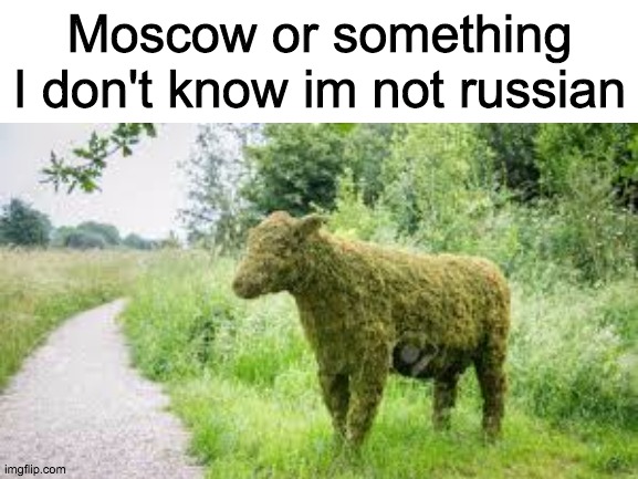 Moscow or something I don't know im not russian | image tagged in mosscow | made w/ Imgflip meme maker