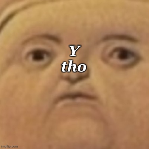 y tho | Y tho | image tagged in y tho | made w/ Imgflip meme maker