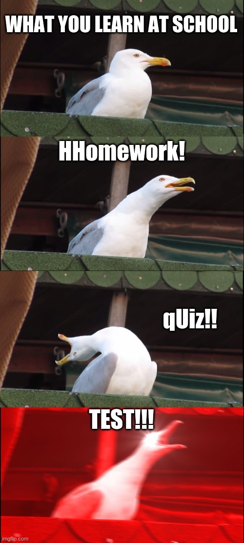 Inhaling Seagull | WHAT YOU LEARN AT SCHOOL; HHomework! qUiz!! TEST!!! | image tagged in memes,inhaling seagull | made w/ Imgflip meme maker