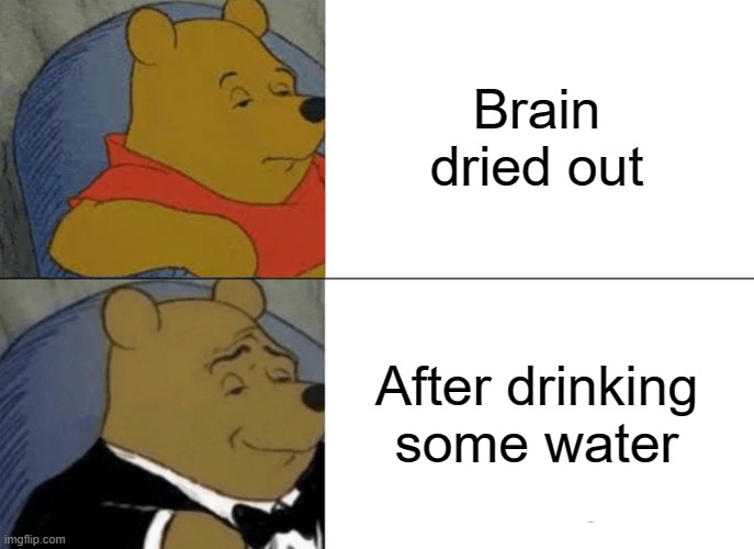 Tuxedo Winnie The Pooh Meme | Brain dried out After drinking some water | image tagged in memes,tuxedo winnie the pooh | made w/ Imgflip meme maker