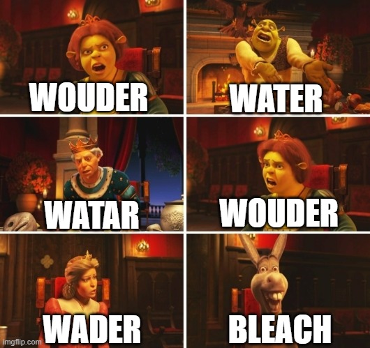 How to say water | WOUDER; WATER; WOUDER; WATAR; BLEACH; WADER | image tagged in shrek fiona harold donkey,water | made w/ Imgflip meme maker