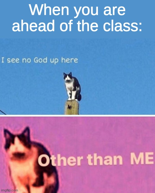 when you're ahead of the class for once | When you are ahead of the class: | image tagged in hail pole cat | made w/ Imgflip meme maker