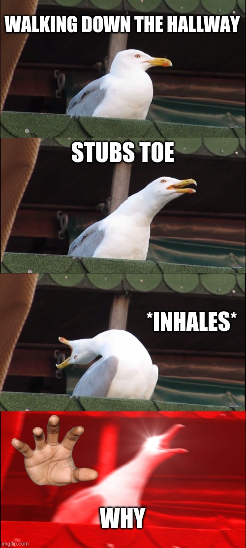 Inhaling Seagull | WALKING DOWN THE HALLWAY; STUBS TOE; *INHALES*; WHY | image tagged in memes,inhaling seagull | made w/ Imgflip meme maker
