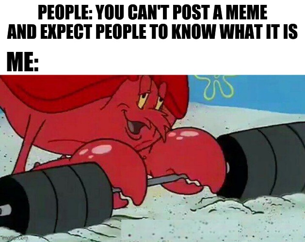 Observe | PEOPLE: YOU CAN'T POST A MEME AND EXPECT PEOPLE TO KNOW WHAT IT IS; ME: | image tagged in observe | made w/ Imgflip meme maker