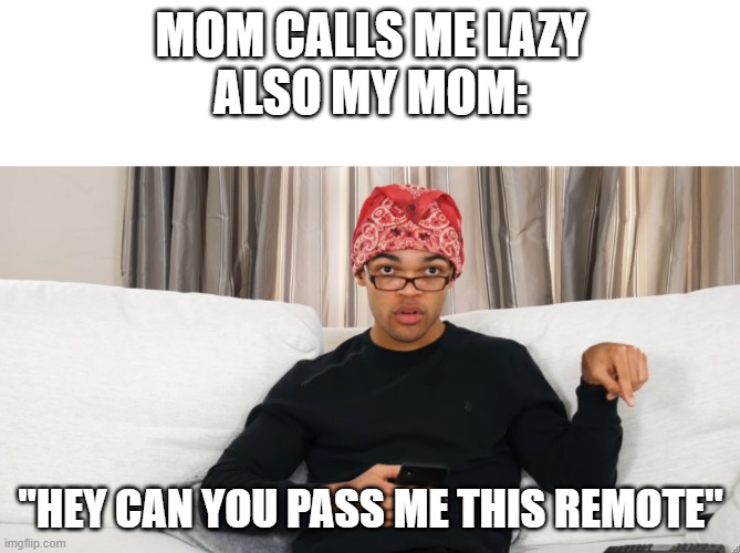 I swear this is all moms! | MOM CALLS ME LAZY
ALSO MY MOM:; "HEY CAN YOU PASS ME THIS REMOTE" | image tagged in moms,memes,funny memes,lazy | made w/ Imgflip meme maker