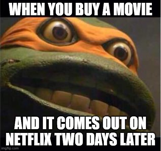 teen age mutant ninja turtle | WHEN YOU BUY A MOVIE; AND IT COMES OUT ON NETFLIX TWO DAYS LATER | image tagged in teen age mutant ninja turtle | made w/ Imgflip meme maker
