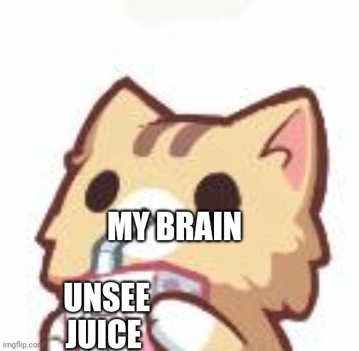 Unsee Juice kitty | MY BRAIN UNSEE JUICE | image tagged in unsee juice kitty | made w/ Imgflip meme maker