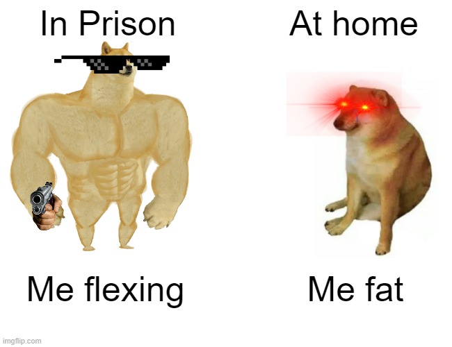 Me fat | In Prison; At home; Me flexing; Me fat | image tagged in memes,buff doge vs cheems | made w/ Imgflip meme maker