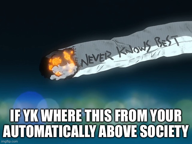 Never Knows Best | IF YK WHERE THIS FROM YOUR AUTOMATICALLY ABOVE SOCIETY | image tagged in never knows best | made w/ Imgflip meme maker