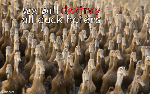 we will destroy all duck haters. | made w/ Imgflip meme maker
