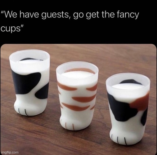 f a n c y | image tagged in memes,funny,cup,yes | made w/ Imgflip meme maker