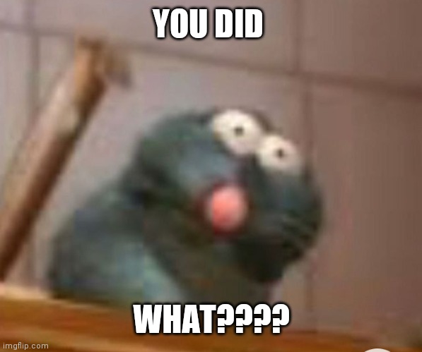 YOU DID; WHAT???? | image tagged in ratatouille | made w/ Imgflip meme maker