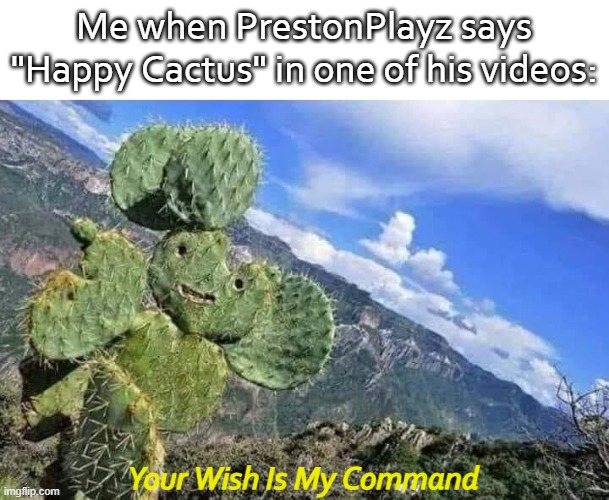 Comment if you think Noob1234 is a good man | Me when PrestonPlayz says "Happy Cactus" in one of his videos:; Your Wish Is My Command | image tagged in happy cactus | made w/ Imgflip meme maker