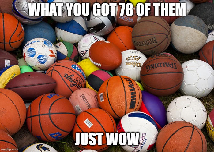 WHY YOU HAVE SO MUCH | WHAT YOU GOT 78 OF THEM; JUST WOW | image tagged in sports balls | made w/ Imgflip meme maker