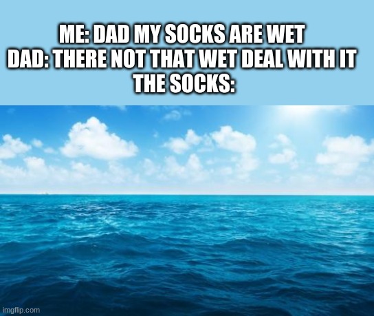 Ocean | ME: DAD MY SOCKS ARE WET 
DAD: THERE NOT THAT WET DEAL WITH IT 
THE SOCKS: | image tagged in ocean | made w/ Imgflip meme maker