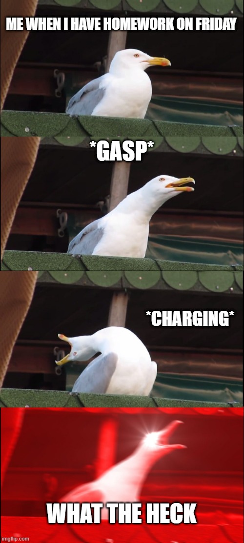 What life is like | ME WHEN I HAVE HOMEWORK ON FRIDAY; *GASP*; *CHARGING*; WHAT THE HECK | image tagged in memes,inhaling seagull | made w/ Imgflip meme maker