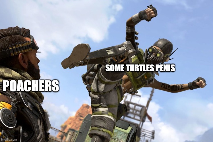 octane stomping mirage | SOME TURTLES PENIS POACHERS | image tagged in octane stomping mirage | made w/ Imgflip meme maker