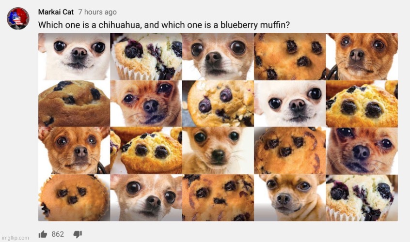h m m m | image tagged in memes,funny,muffin,dog | made w/ Imgflip meme maker
