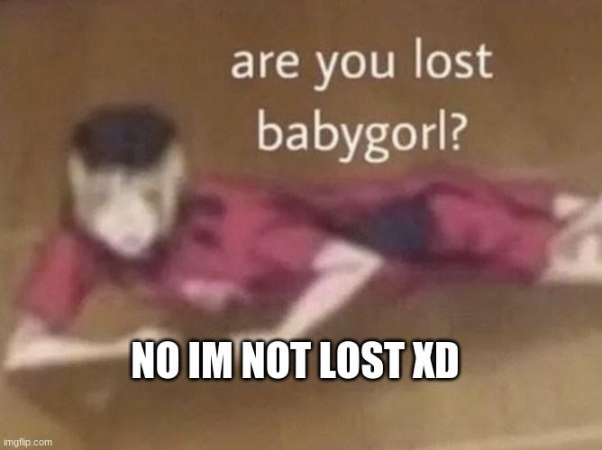 kenma are you lost bbg | NO IM NOT LOST XD | image tagged in kenma are you lost bbg | made w/ Imgflip meme maker