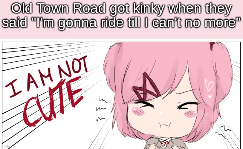 Me who doesn't know how tf it was a good song | Old Town Road got kinky when they said "I'm gonna ride till I can't no more" | image tagged in i am not cute | made w/ Imgflip meme maker